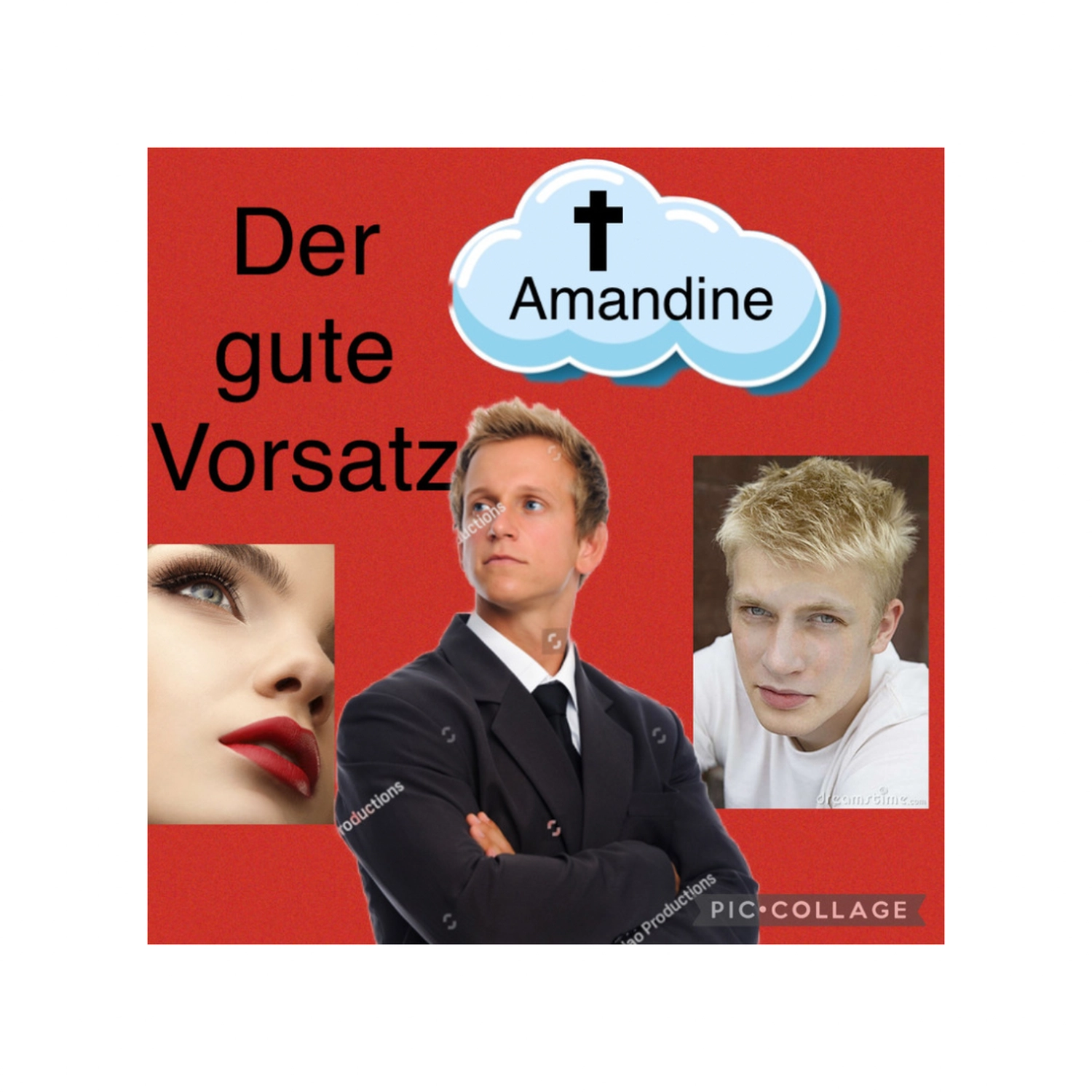 Der gute Vorsatz Wiebke Groth